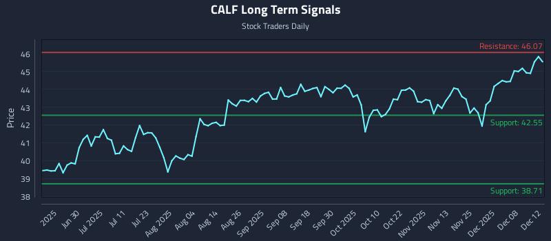 CALF Long Term Analysis for December 13 2025 CALF Long Term Analysis for December 13 2025