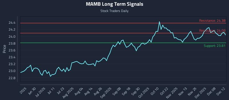 MAMB Long Term Analysis for December 13 2025 MAMB Long Term Analysis for December 13 2025
