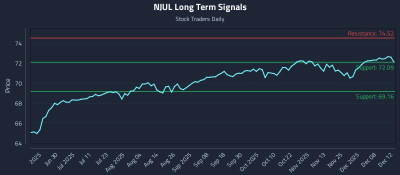NJUL Long Term Analysis for December 13 2025 NJUL Long Term Analysis for December 13 2025