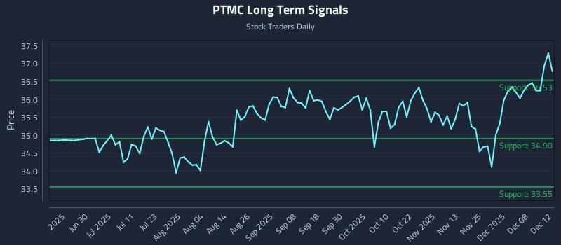PTMC Long Term Analysis for December 13 2025 PTMC Long Term Analysis for December 13 2025