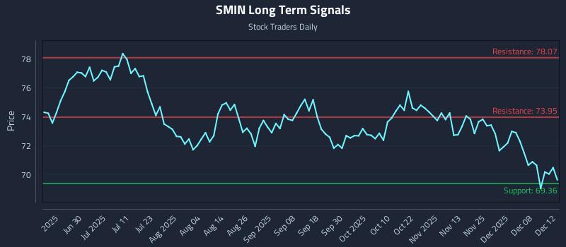 SMIN Long Term Analysis for December 13 2025