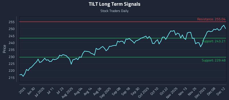 TILT Long Term Analysis for December 13 2025