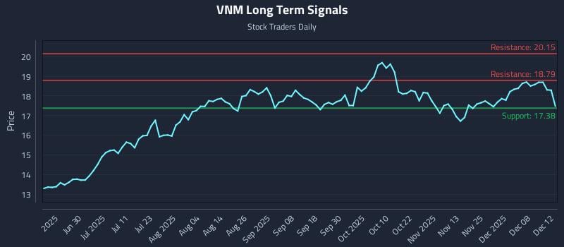 VNM Long Term Analysis for December 13 2025 VNM Long Term Analysis for December 13 2025