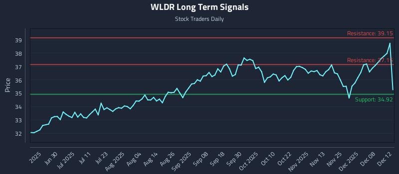 WLDR Long Term Analysis for December 13 2025