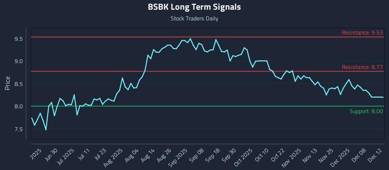 BSBK Long Term Analysis for December 13 2025 BSBK Long Term Analysis for December 13 2025