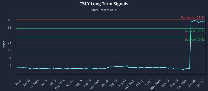 TSLY Long Term Analysis for December 13 2025