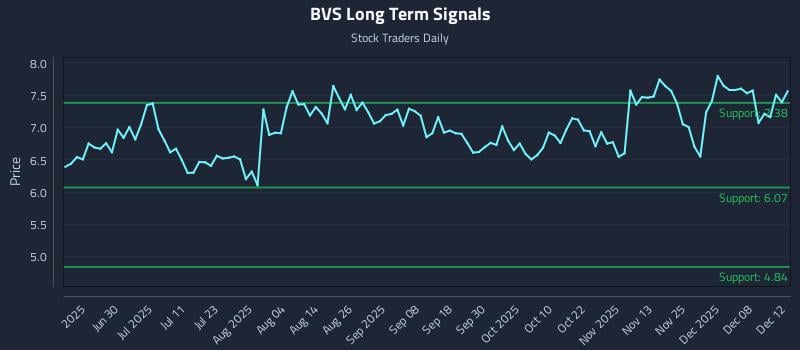 BVS Long Term Analysis for December 13 2025