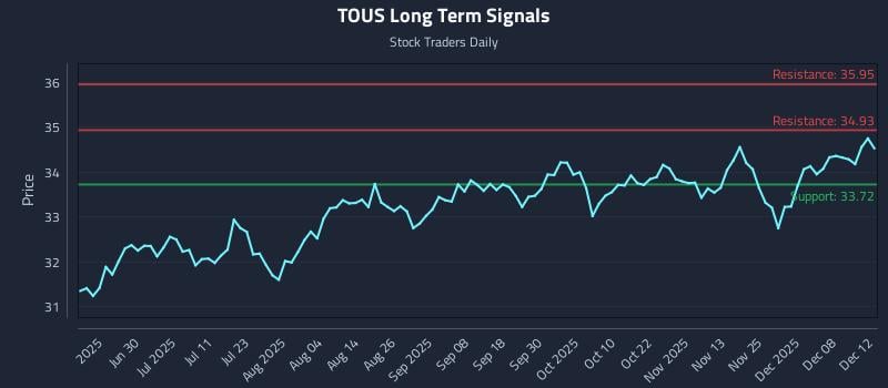 TOUS Long Term Analysis for December 14 2025 TOUS Long Term Analysis for December 14 2025