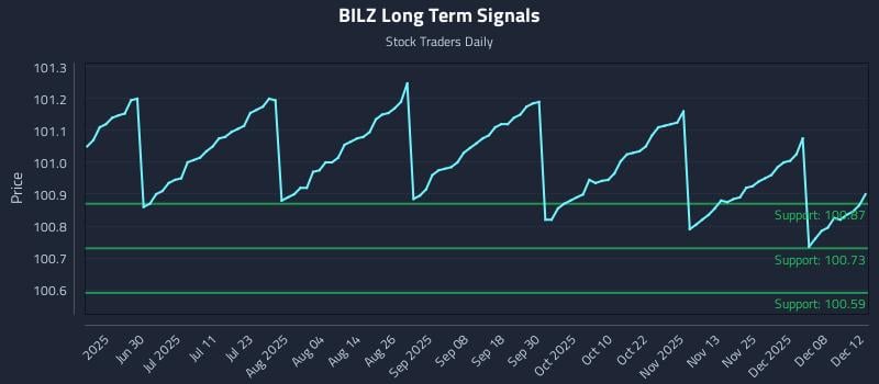 BILZ Long Term Analysis for December 14 2025