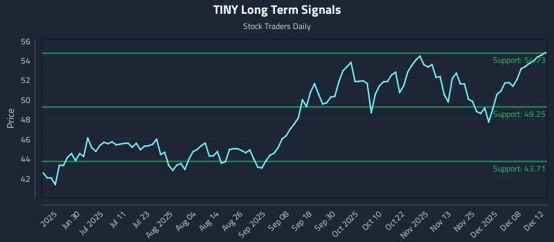 TINY Long Term Analysis for December 14 2025
