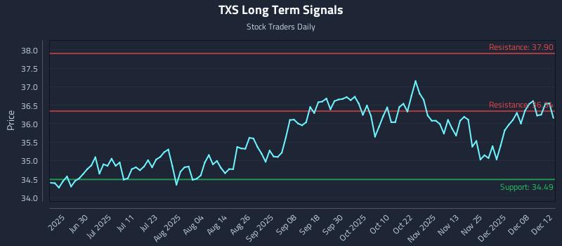 TXS Long Term Analysis for December 14 2025 TXS Long Term Analysis for December 14 2025