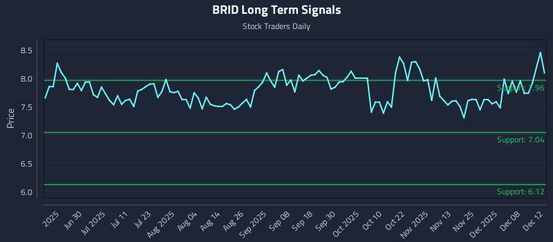 BRID Long Term Analysis for December 14 2025