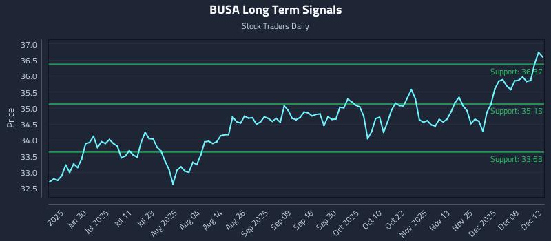 BUSA Long Term Analysis for December 14 2025