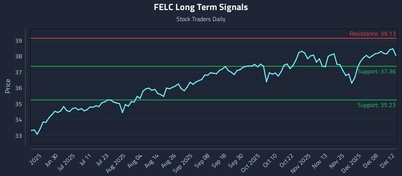 FELC Long Term Analysis for December 14 2025 FELC Long Term Analysis for December 14 2025