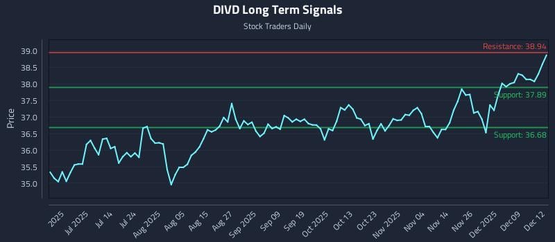 DIVD Long Term Analysis for December 15 2025