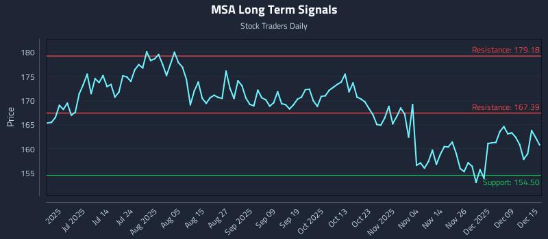 MSA Long Term Analysis for December 15 2025