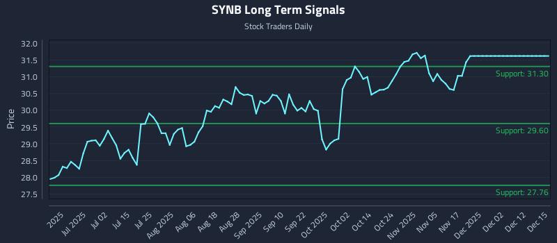 SYNB Long Term Analysis for December 16 2025