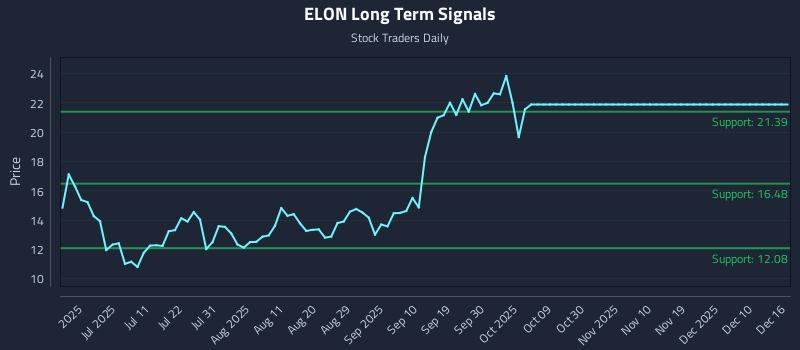 ELON Long Term Analysis for December 16 2025