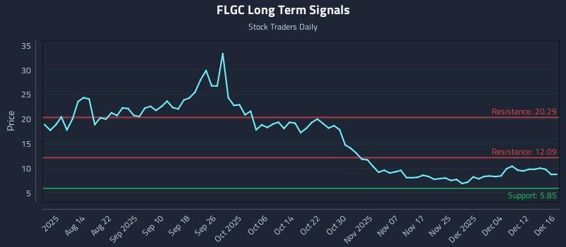 FLGC Long Term Analysis for December 16 2025