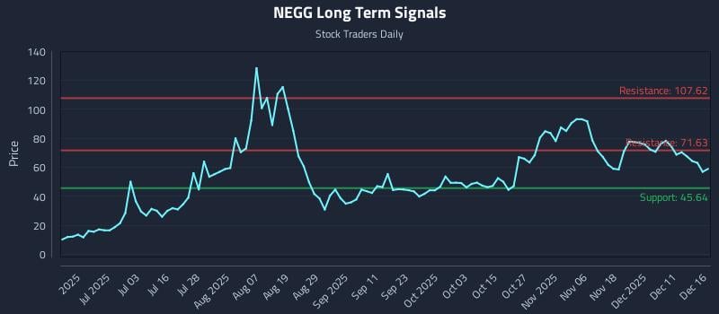 NEGG Long Term Analysis for December 17 2025