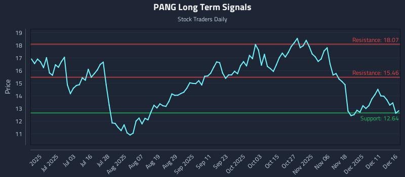 PANG Long Term Analysis for December 17 2025