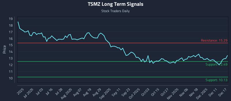 TSMZ Long Term Analysis for December 17 2025