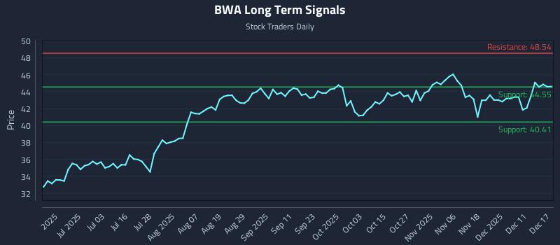 BWA Long Term Analysis for December 17 2025