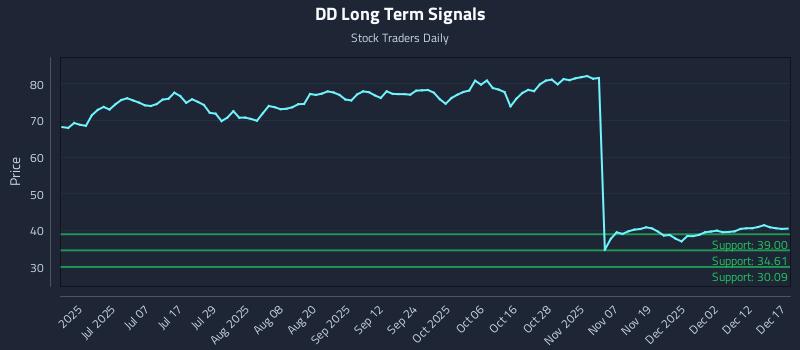DD Long Term Analysis for December 18 2025