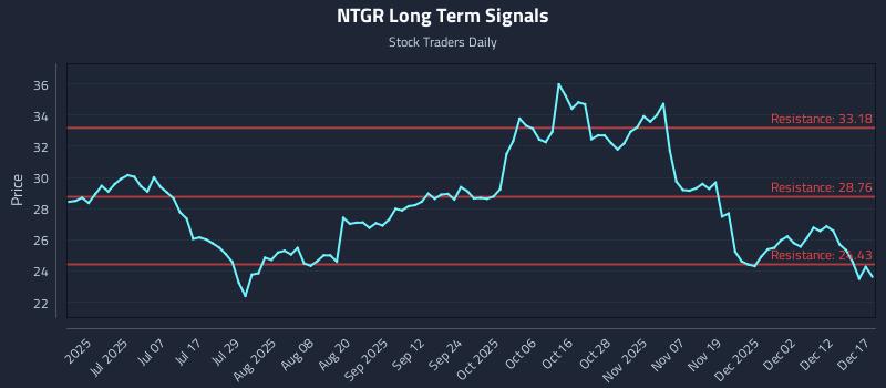 NTGR Long Term Analysis for December 18 2025