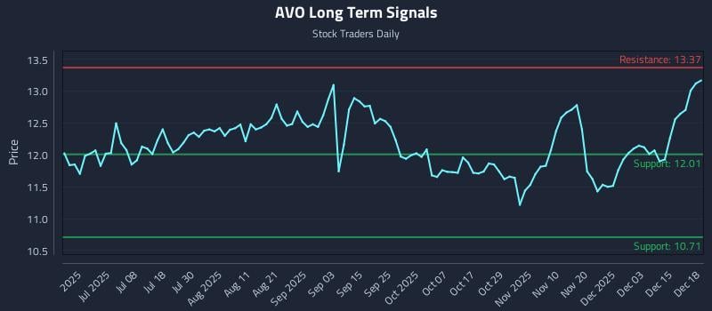 AVO Long Term Analysis for December 19 2025