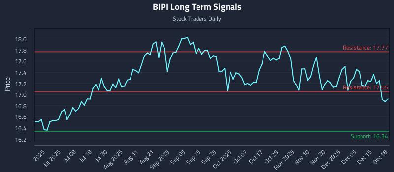 BIPI Long Term Analysis for December 19 2025