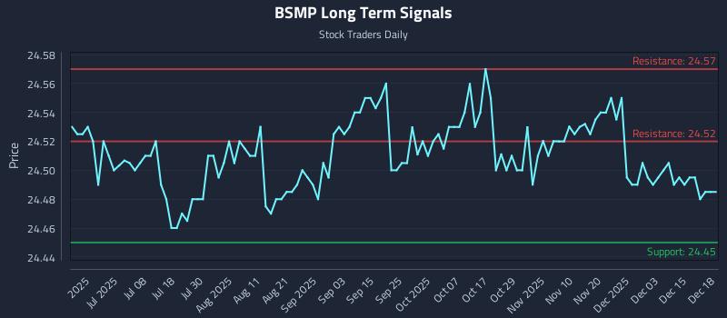 BSMP Long Term Analysis for December 19 2025