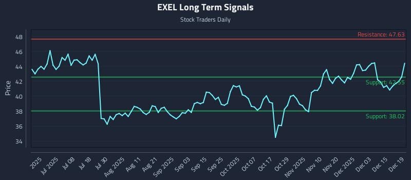 EXEL Long Term Analysis for December 20 2025