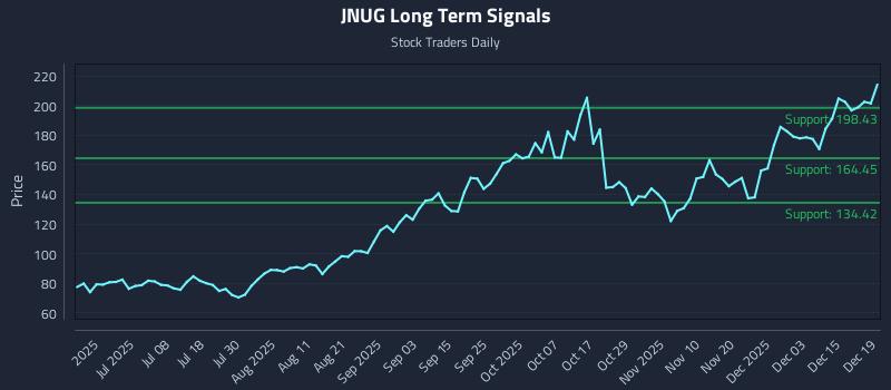 JNUG Long Term Analysis for December 21 2025