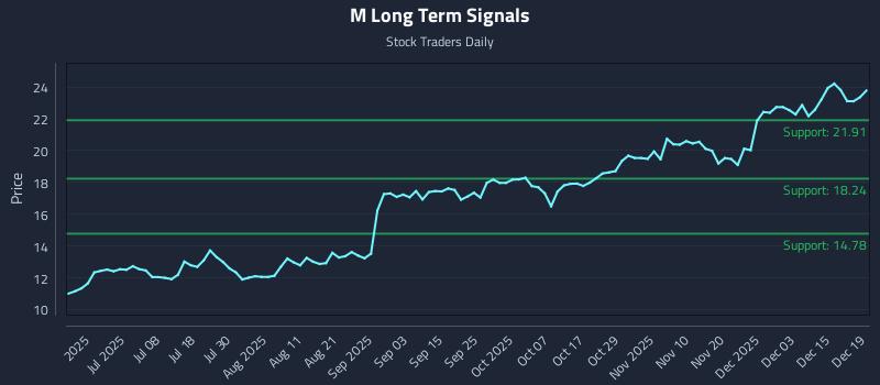 M Long Term Analysis for December 21 2025