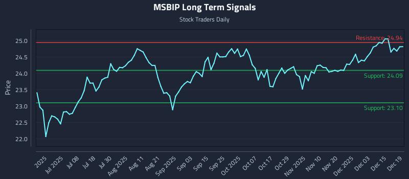 MSBIP Long Term Analysis for December 21 2025