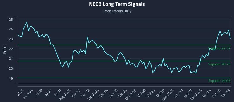 NECB Long Term Analysis for December 22 2025