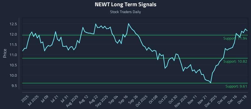 NEWT Long Term Analysis for December 22 2025