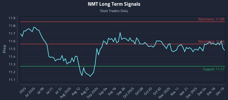 NMT Long Term Analysis for December 22 2025