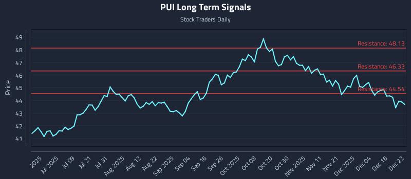 PUI Long Term Analysis for December 22 2025
