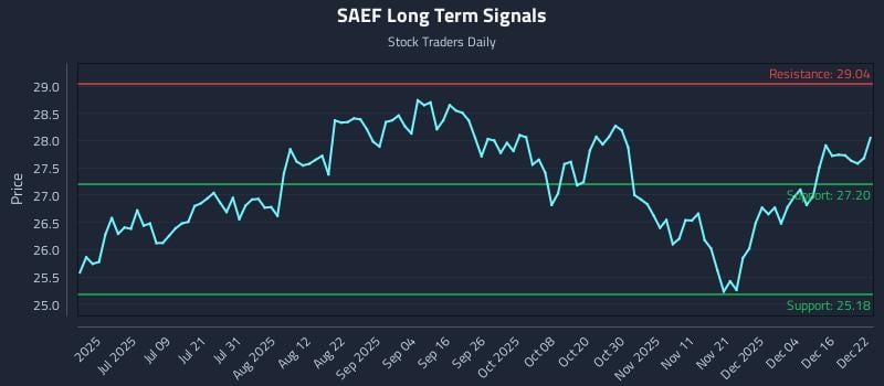 SAEF Long Term Analysis for December 22 2025