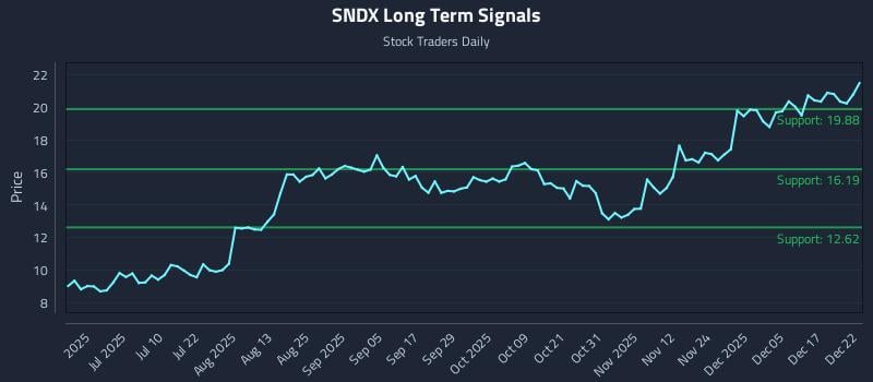 SNDX Long Term Analysis for December 23 2025