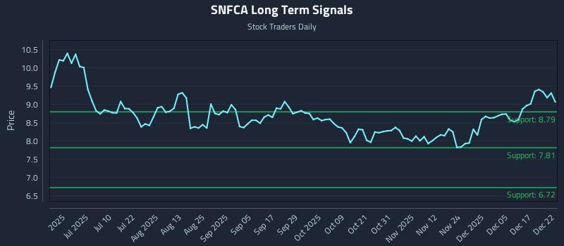 SNFCA Long Term Analysis for December 23 2025