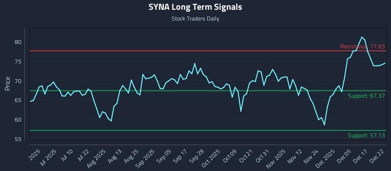 SYNA Long Term Analysis for December 23 2025