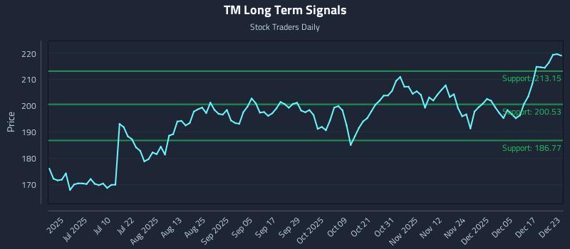 TM Long Term Analysis for December 23 2025 TM Long Term Analysis for December 23 2025
