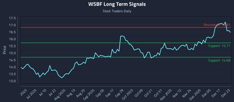 WSBF Long Term Analysis for December 23 2025