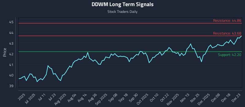 DDWM Long Term Analysis for December 24 2025