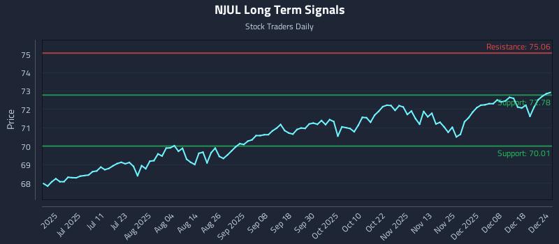 NJUL Long Term Analysis for December 24 2025 NJUL Long Term Analysis for December 24 2025