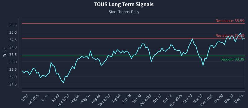 TOUS Long Term Analysis for December 25 2025