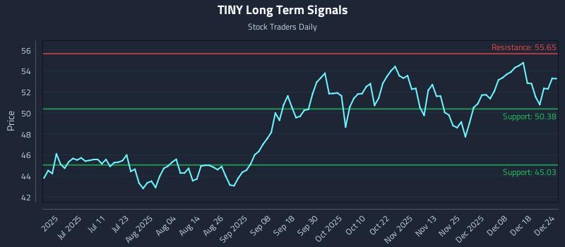 TINY Long Term Analysis for December 25 2025